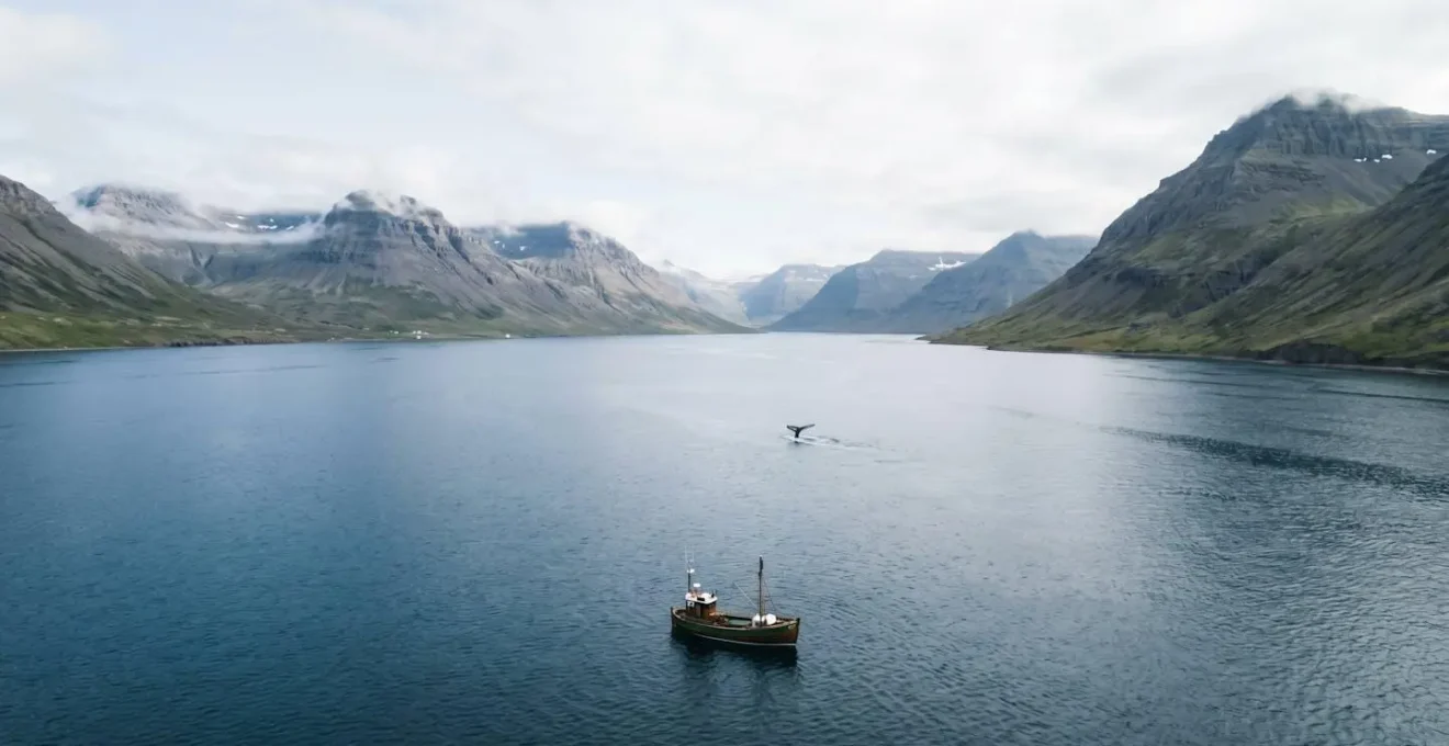 Vue aérienne d'un fjord islandais montrant l'équilibre entre l'espace naturel et la présence humaine respectueuse