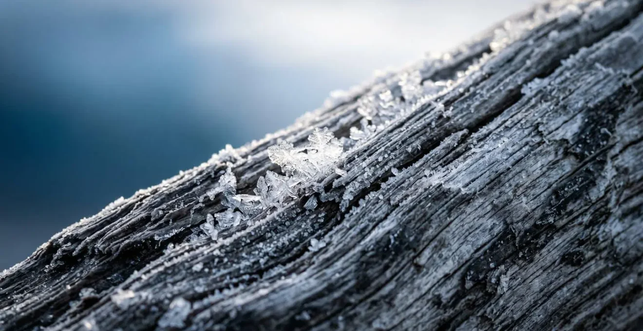 Visualisation conceptuelle du courant Transpolar Drift transportant le bois de Sibérie vers l'Islande à travers l'océan Arctique