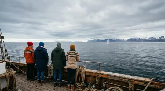 Observation de baleines depuis un bateau en mer avec un horizon dégagé