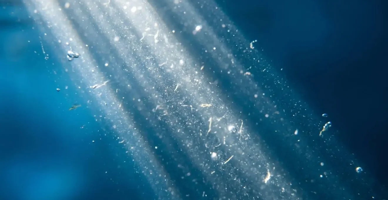 Faisceaux de lumière naturelle traversant l'eau cristalline de la faille de Silfra créant un effet cathédrale sous-marine