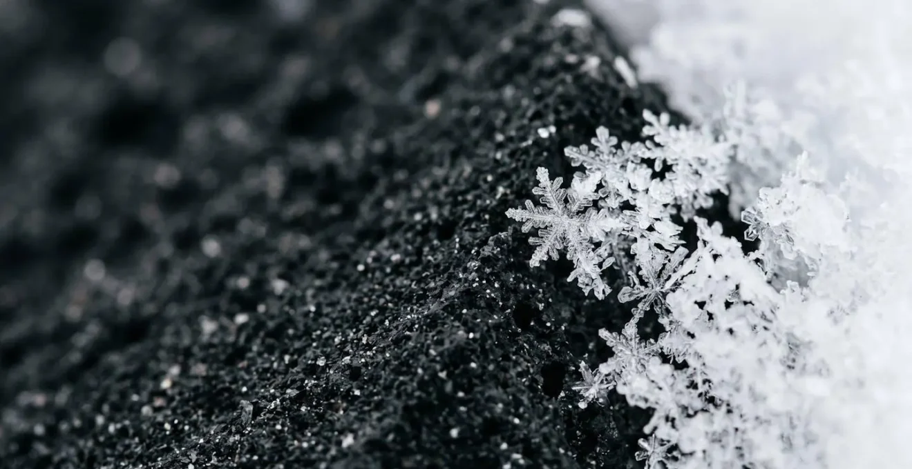 Détail macro de cristaux de neige sur roche volcanique noire montrant les textures contrastées