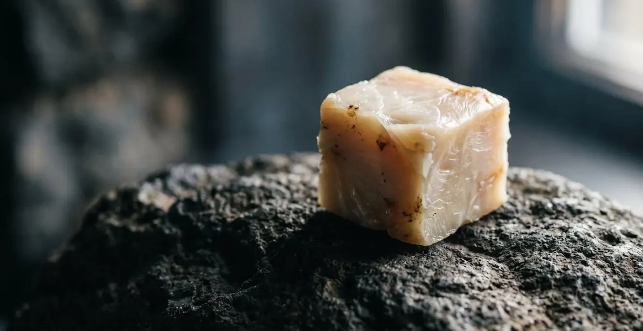 Cube de hákarl, requin fermenté islandais présentant sa texture et couleur caractéristiques